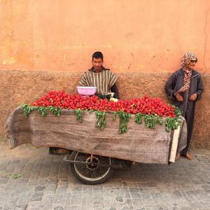 Read more about the article Marrakech, luogo mistico come la preghiera dell’alba